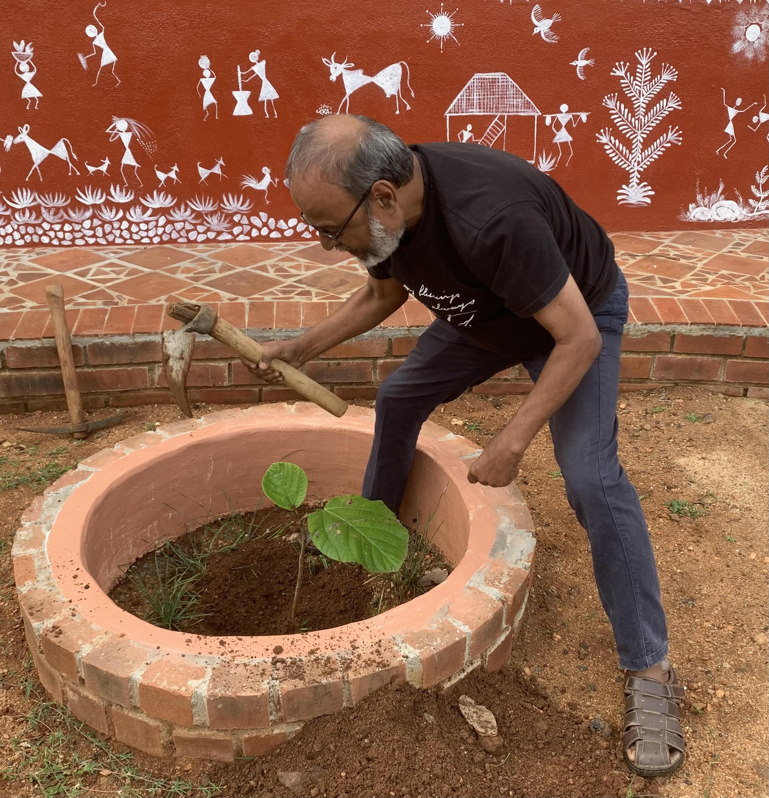 Park Plantation & Maintenance