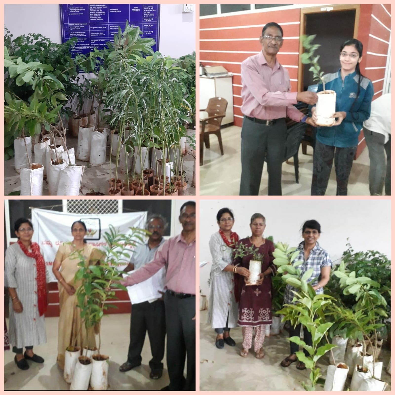 Tree Sapling Distribution