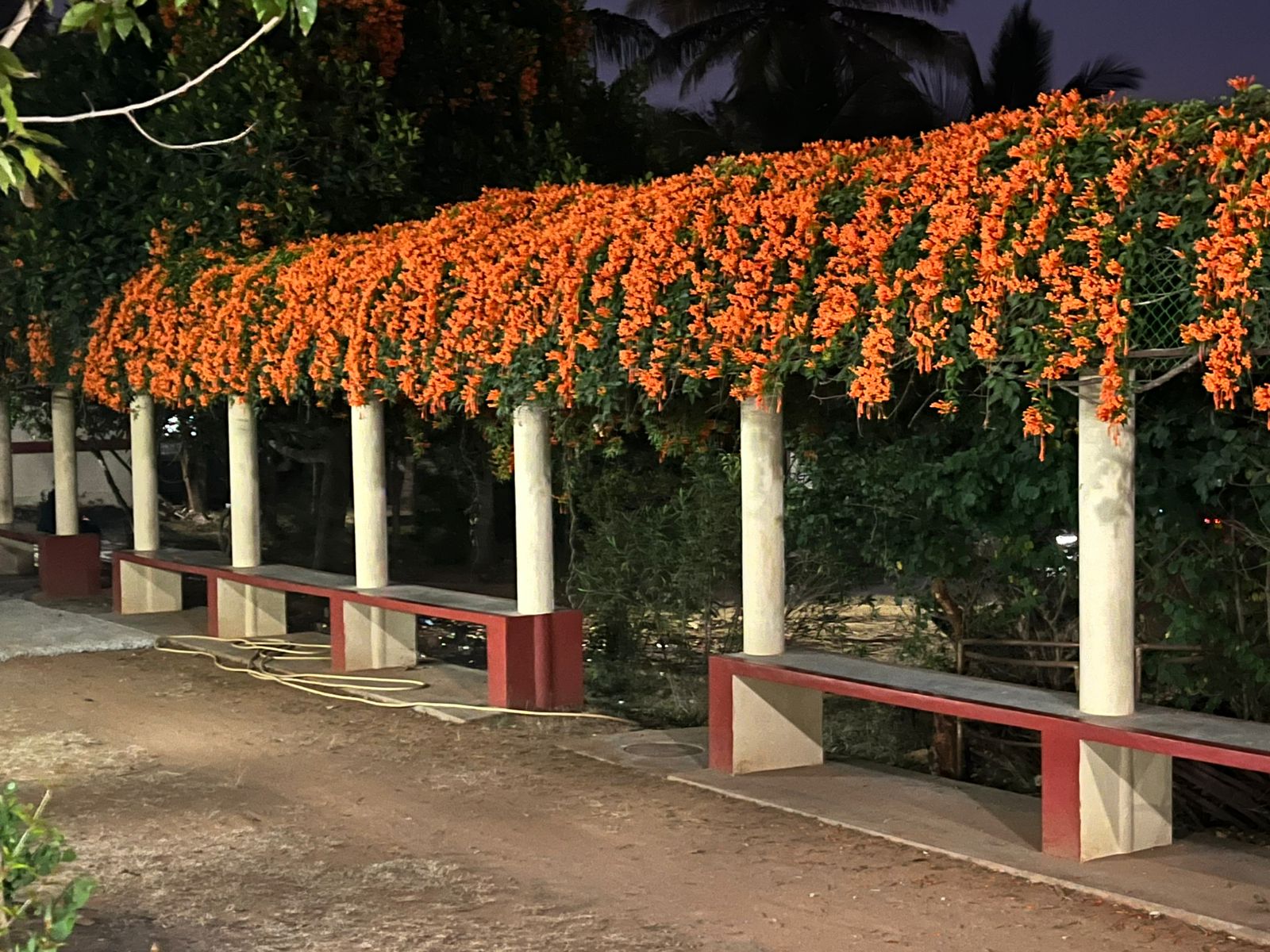 Green and Clean Roopanagara