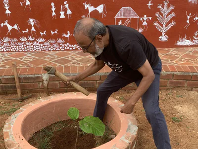 Park Plantation & Maintenance