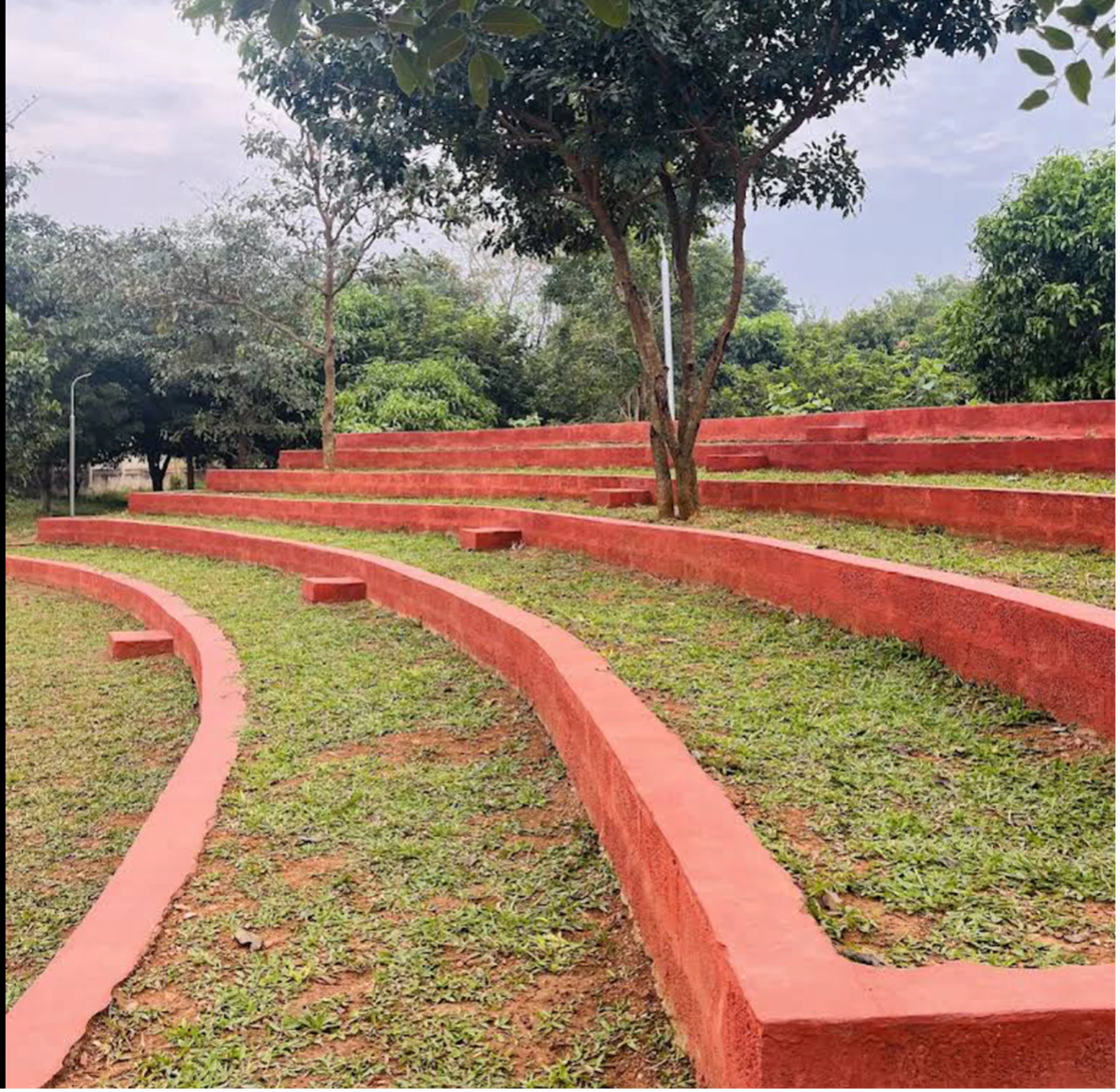 Celebrating Our Community