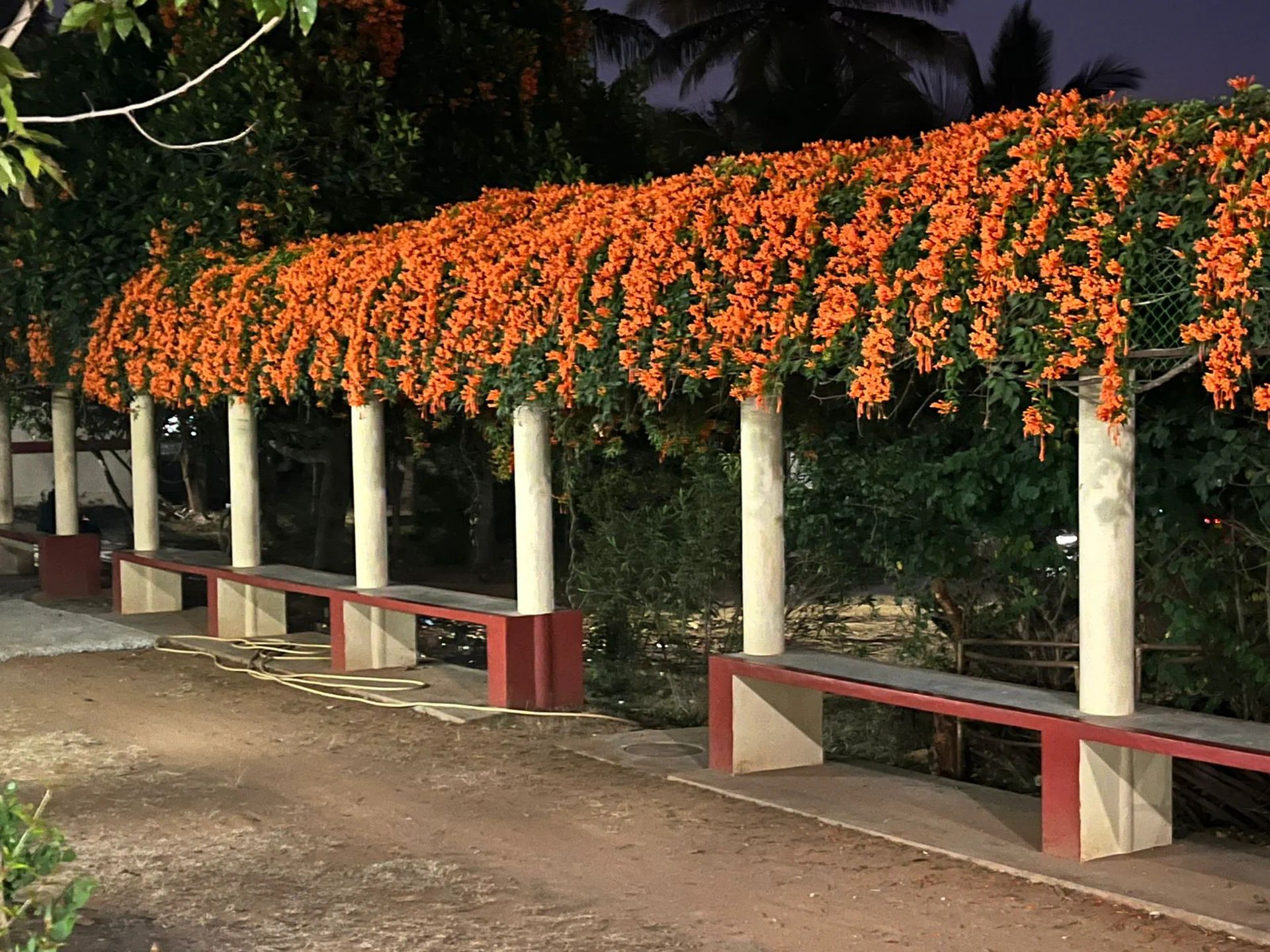 Green and Clean Roopanagara